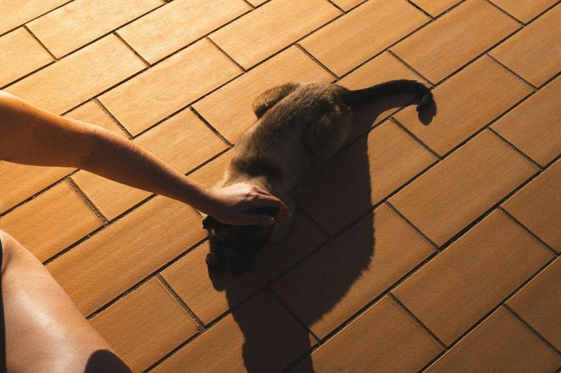 Consider Flooring Upgrades