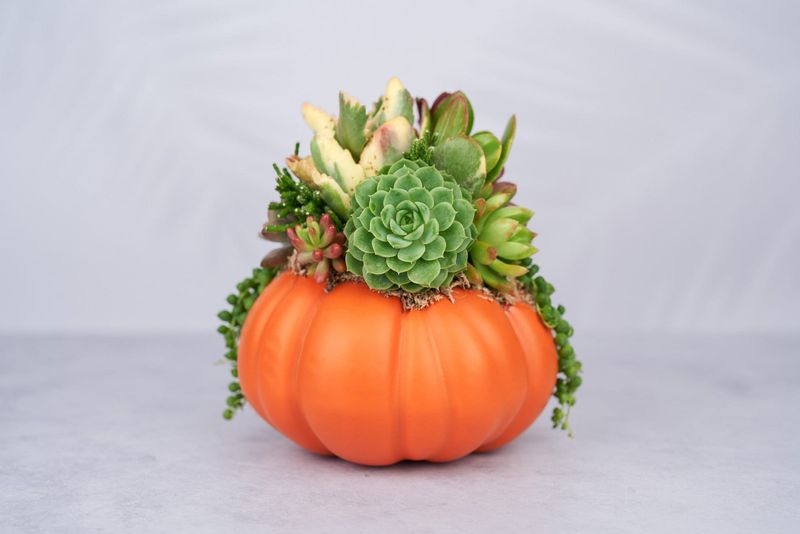 Succulent Pumpkins For Table Centerpieces