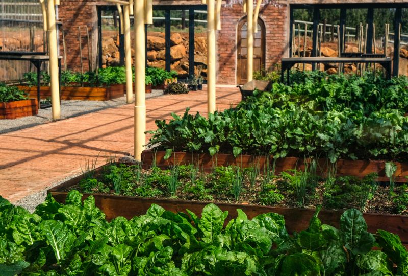 21 DIY Projects That Could Help Reduce Household Costs - Decor Hint Build Raised Garden Beds For Vegetables