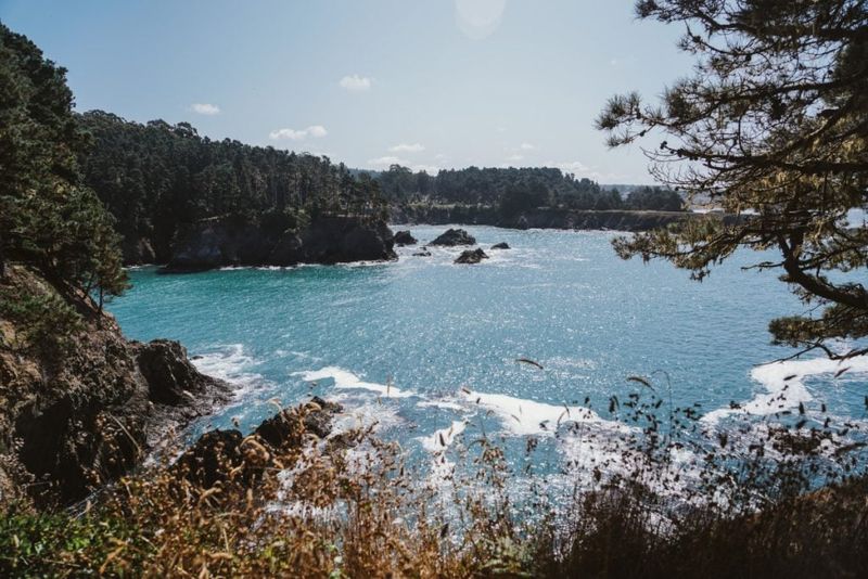 Beachside Seafood Dinner On The Mendocino Coast