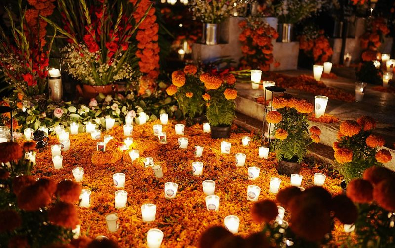 Marigold Pathways Guide Spirits Home