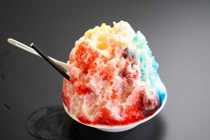 Shimazu Store's Monster-Sized Creations