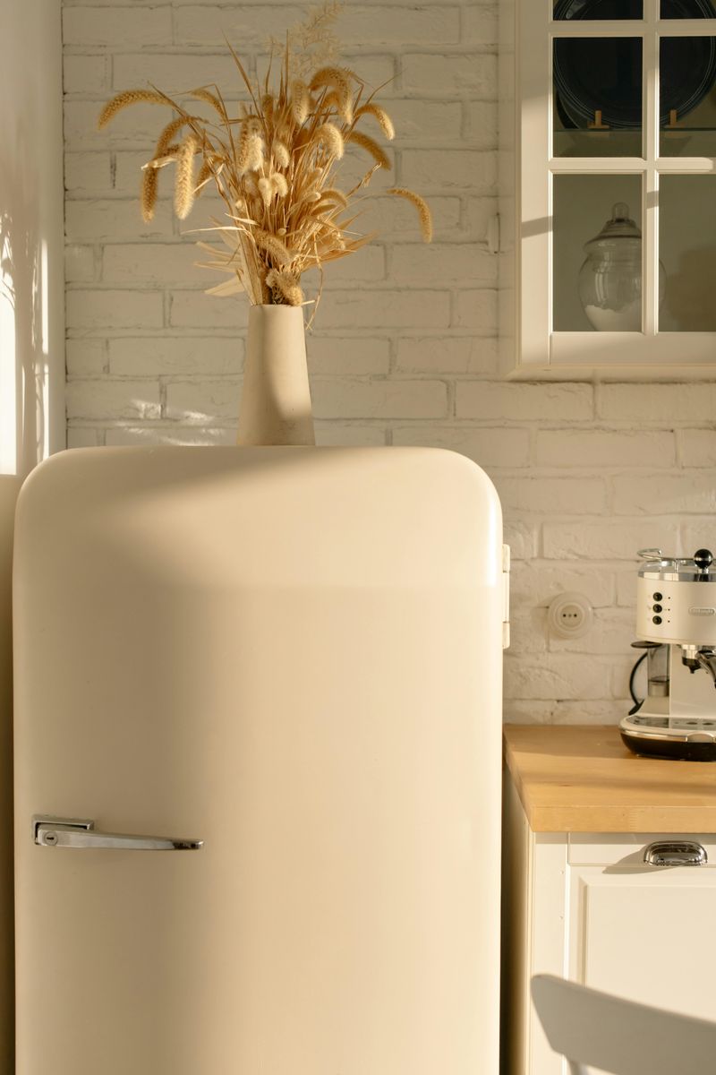 Outlet Location Decisions That Could Make Kitchens Less Practical - Decor Hint Outlets Hidden Behind Large Appliances