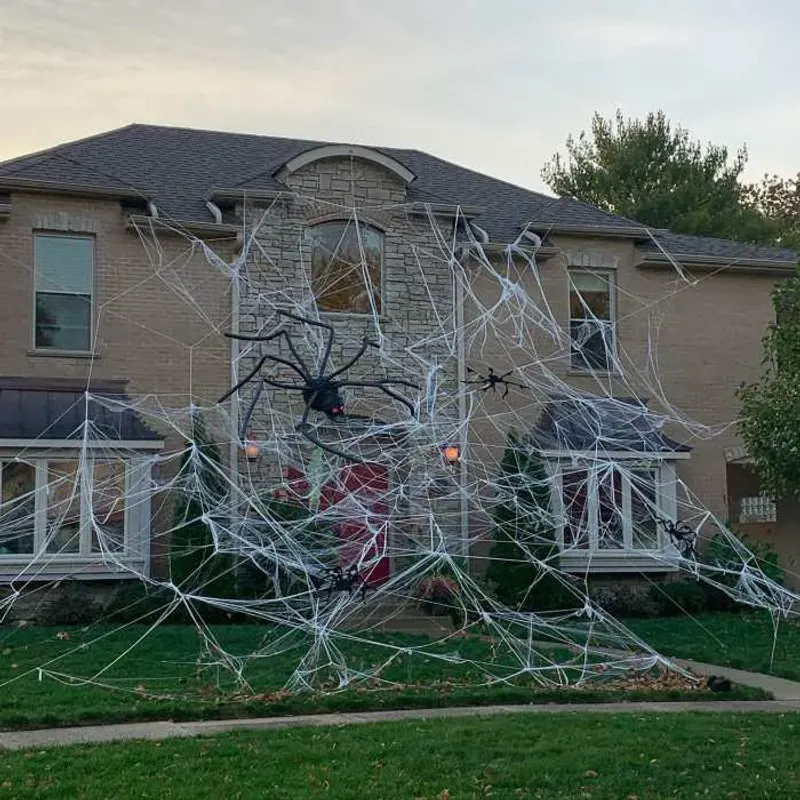 Giant Spider Webs Across Rooftops