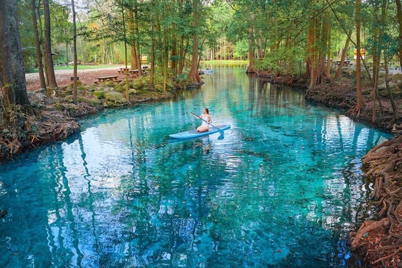 Ginnie Springs: Underwater Caves and Party Vibes
