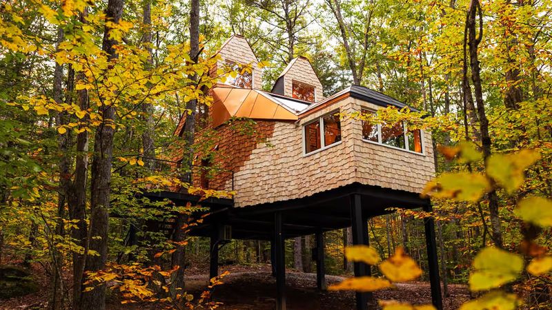Fern Forest Treehouse in Lincoln