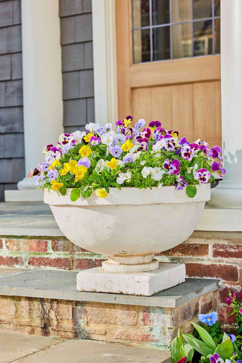 Front Porch Seasonal Container Garden