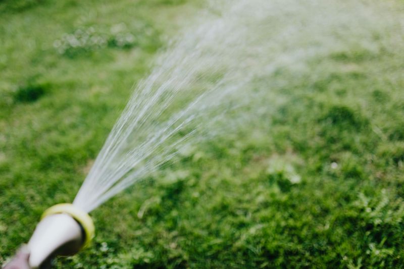 A Practical Guide To Watering Your Lawn - Decor Hint Water At The Right Time