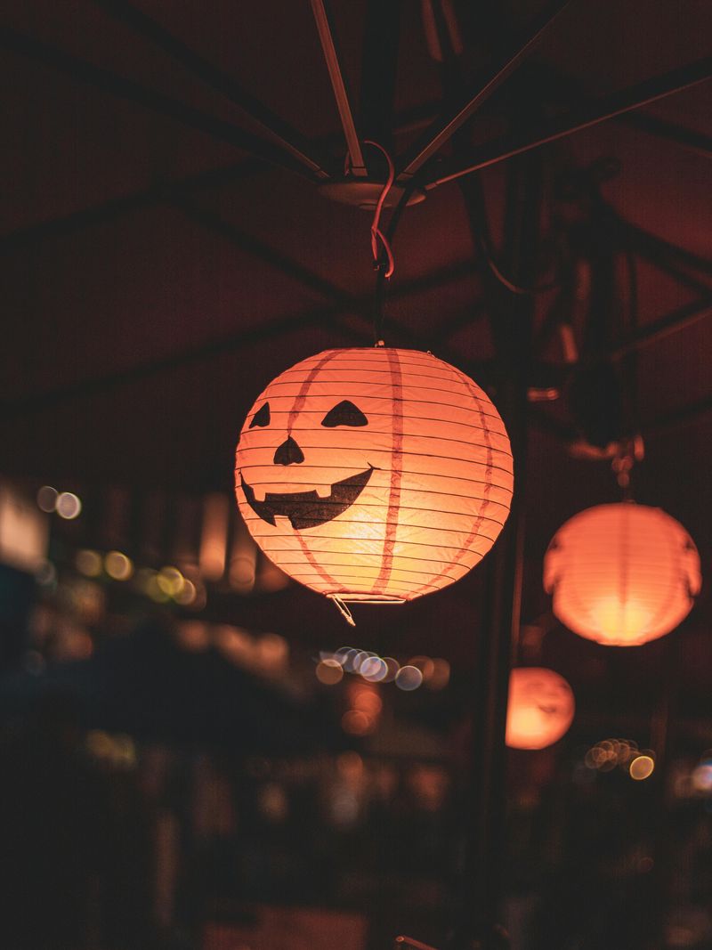 Pumpkin Or Themed Shaped Light Fixtures