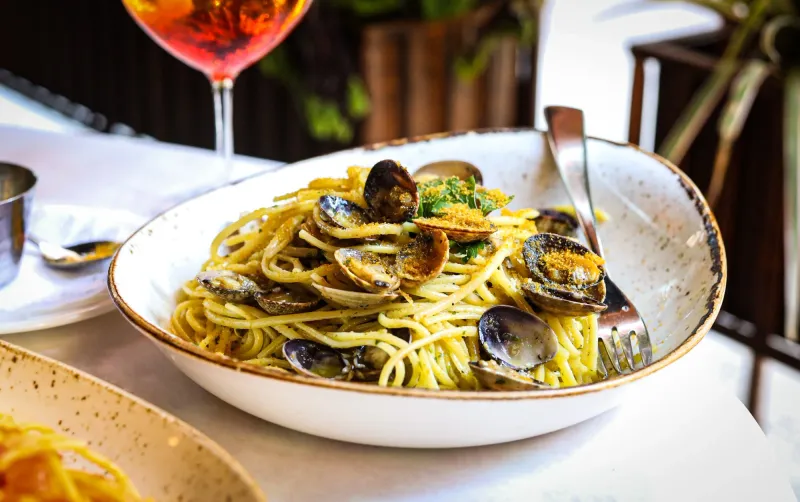 Volare's Operatic Excellence