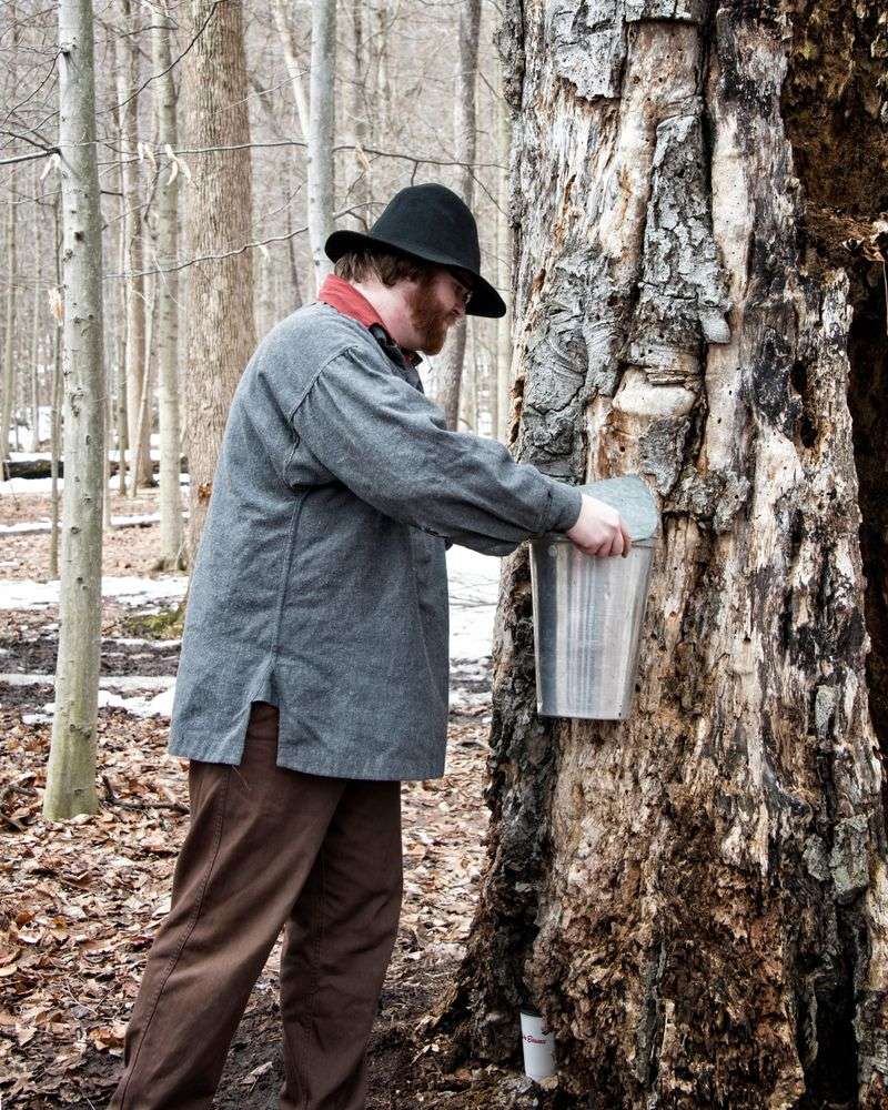 10 Ohio Maple Festivals Serving Pancakes With Syrup - Decor Hint Hale Farm & Village Maple Sugar Festival & Pancake Breakfast (Bath)