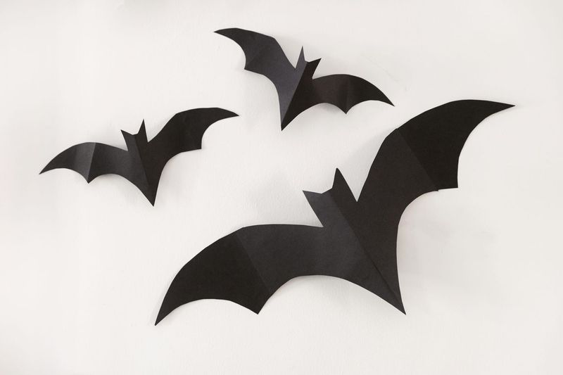 Bat Silhouettes Made From Black Cardstock