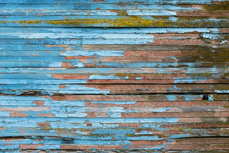 Home Fixes You Shouldn't Put Off - Decor Hint Pest Infestations Cause Structural Harm