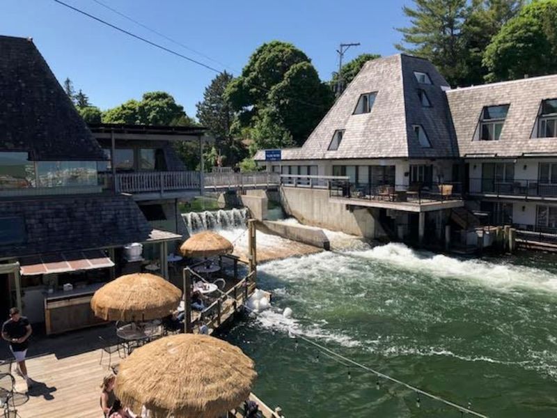 The Cove in Leland
