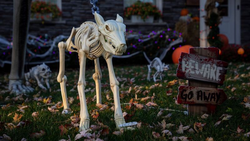 Giant Skeleton Dog