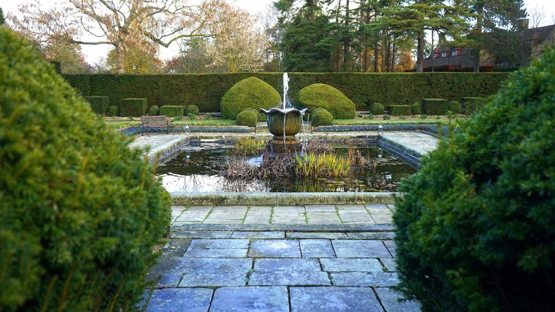 Water Features