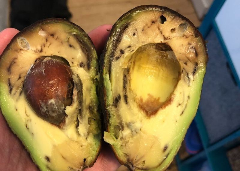 18 Surprising Items In Your New York Fridge That Should've Been Tossed Yesterday - Decor Hint Cut Avocados
