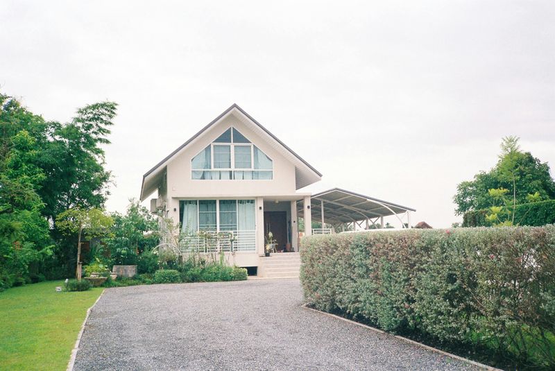 Low-Maintenance Shrubs And Hedges