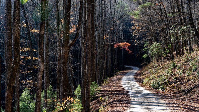 Valle Crucis 