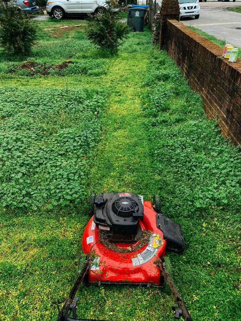 Electric Or Hybrid Home Tools