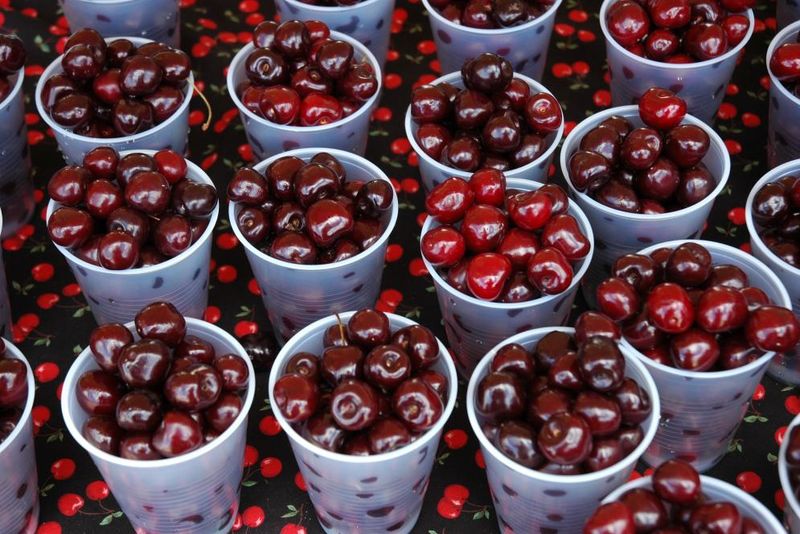 20 Favorite Foods You're Ruining By Storing In The Fridge, Michigan Style - Decor Hint Fresh Traverse City Cherries