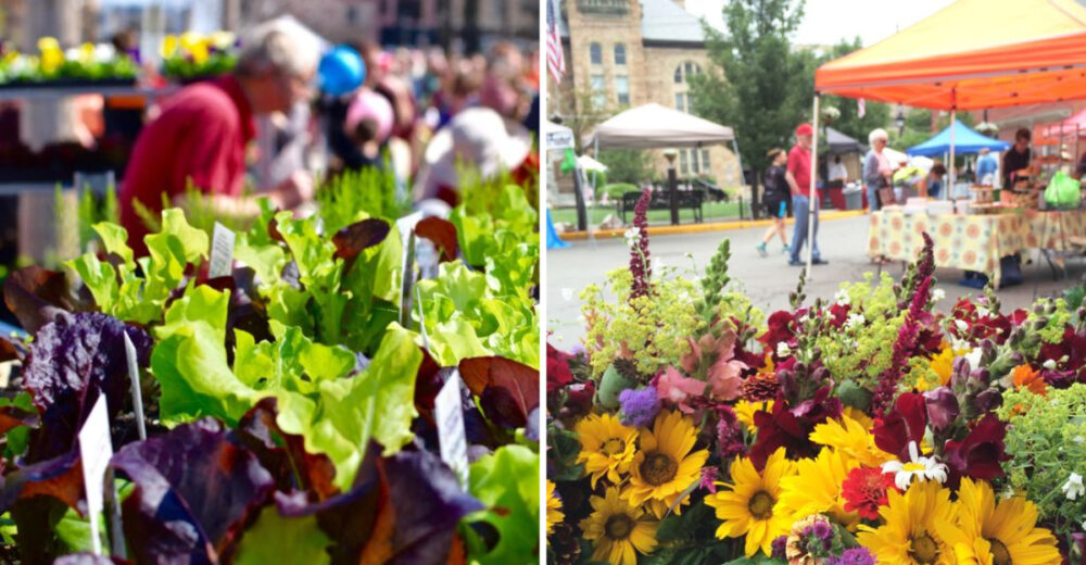 Madisons Wisconsin Best Farmers Markets For Fresh Local Finds 2 - Decor Hint