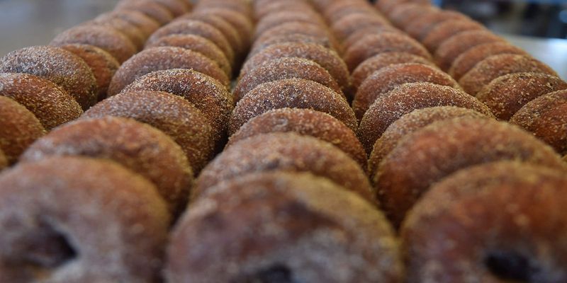 Harvest Moon Filled Donut