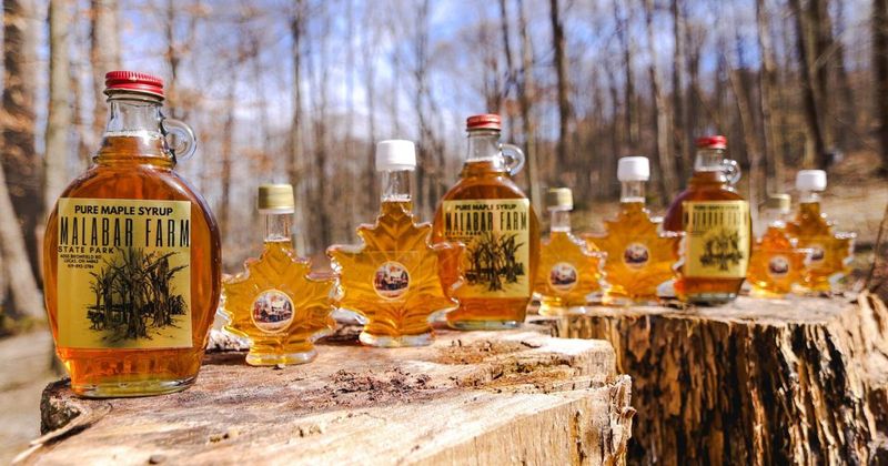 10 Ohio Maple Festivals Serving Pancakes With Syrup - Decor Hint Indian Lake Maple Syrup Festival with Pancake & Sausage Breakfast (Lakeview)