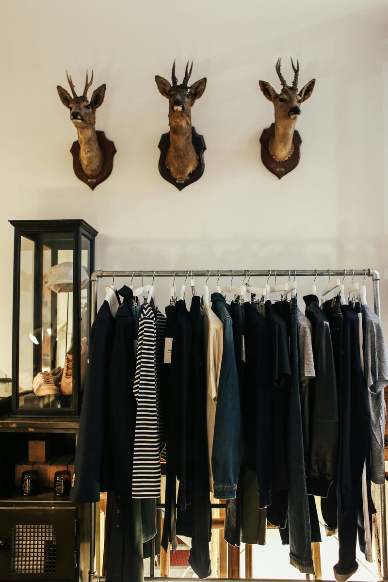 12 Outdated Home Trends To Rethink This Year - Decor Hint Taxidermy Decor