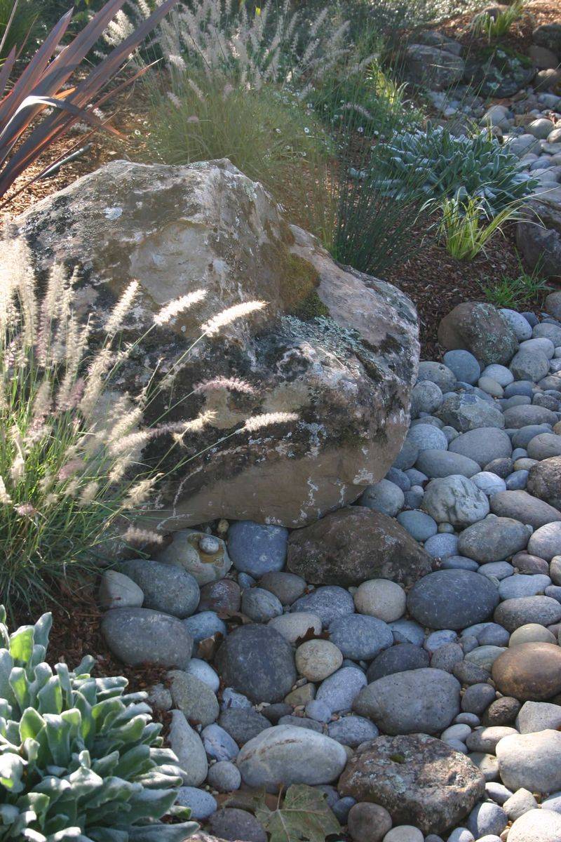 Rock Garden Wonderland in Rancho Bernardo
