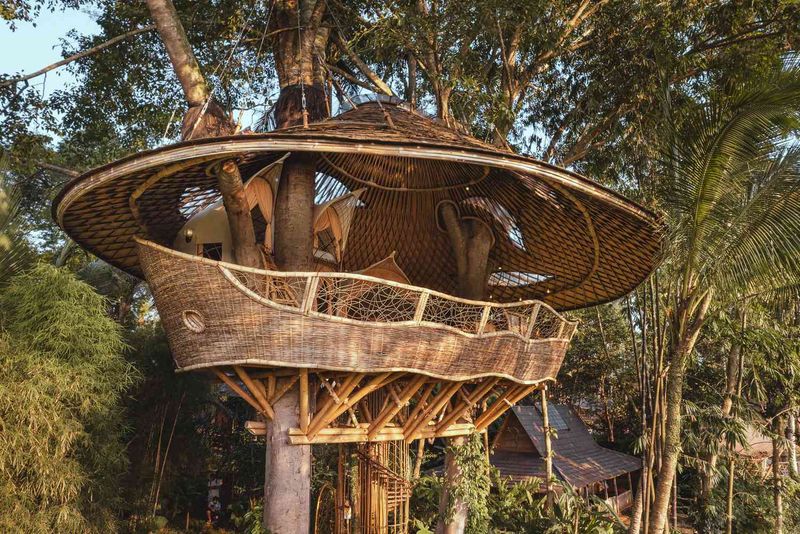 9 Hawaii Coastal Homes With Breezy Island Charm - Decor Hint Luxe Tropical Treehouse
