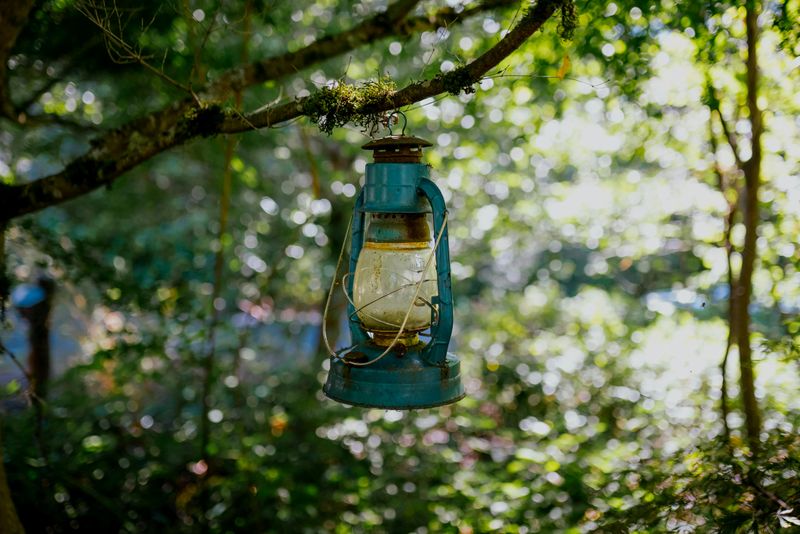 10 Vintage Fall Decoration Ideas That Feel Fresh Again - Decor Hint Antique Lantern Displays