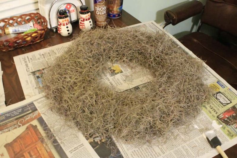 Hanging Spanish Moss Over The Table