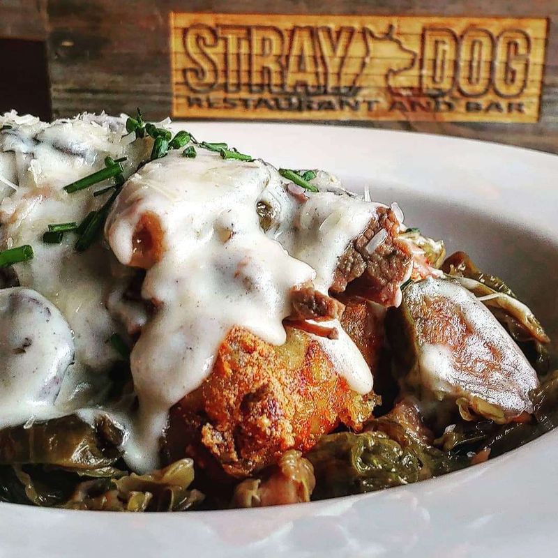 Stray Dog's Tater Tot Triumph