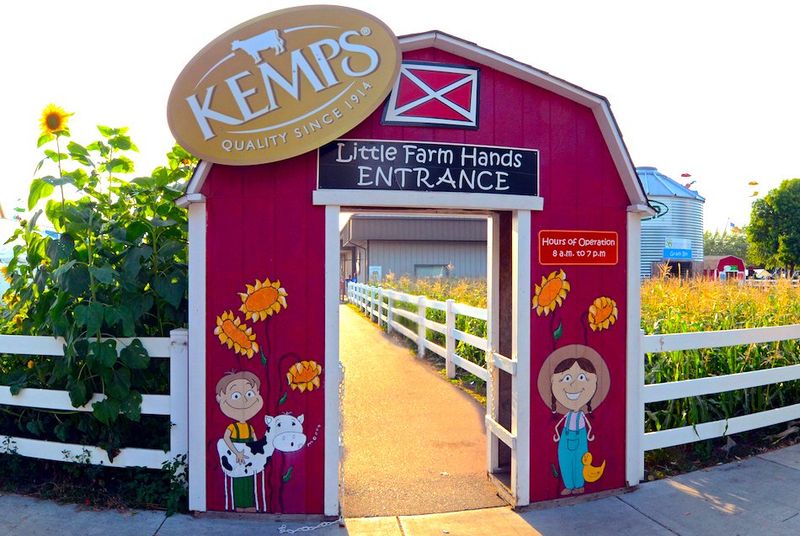 The Little Farm Hands At The Minnesota State Fair