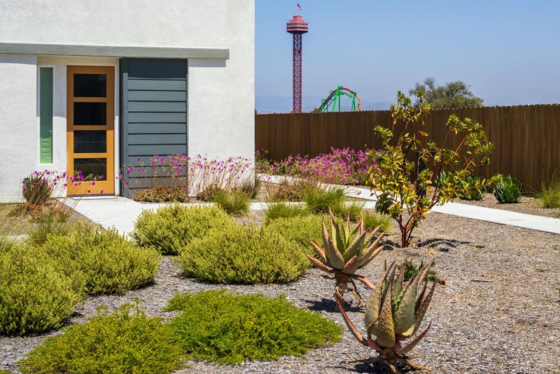 Low-Maintenance Front Yards With Drought-Resistant Features