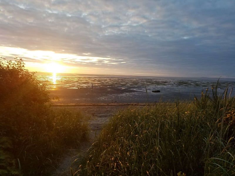 9 Washington Coastal Towns Overrun By Tourists, According To Locals - Decor Hint Grayland