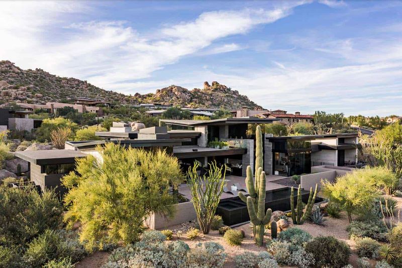 Desert Oasis In Arizona