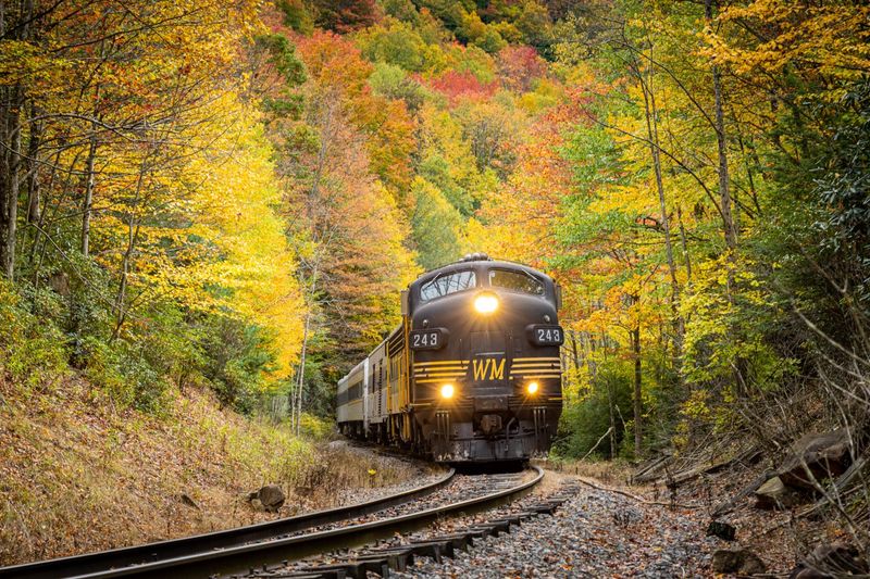 Tygart Flyer Excursion Train
