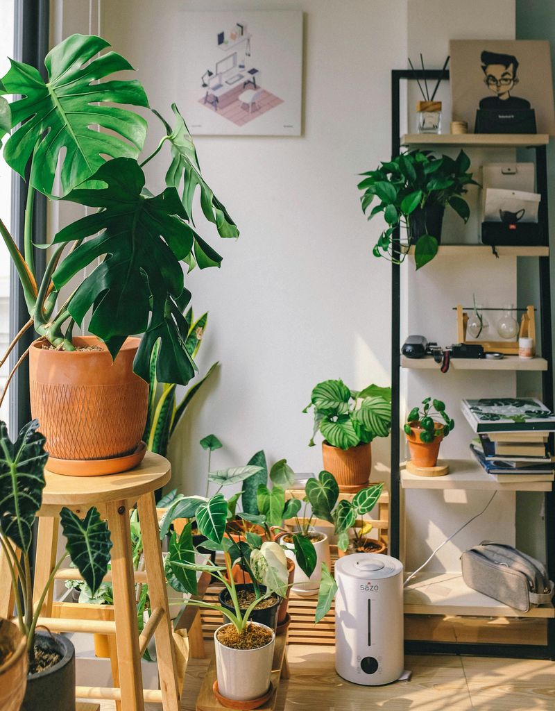 19 Interior Ideas Likely To Become Popular In Living Rooms Soon - Decor Hint Oversized indoor plants for greenery