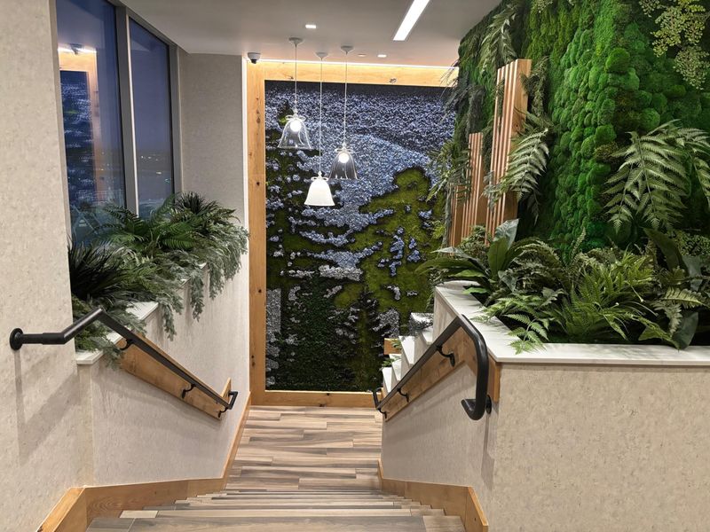 Living Walls That Purify Air