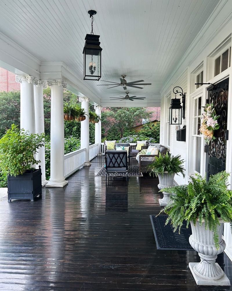 Boston Ferns: Shade-Loving Beauties