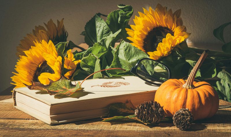 Decorative Acorns and Pinecones