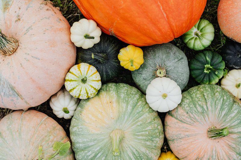 Neutral Fall Decor Styles That Work In Any Home - Decor Hint Muted Pumpkin Arrangements