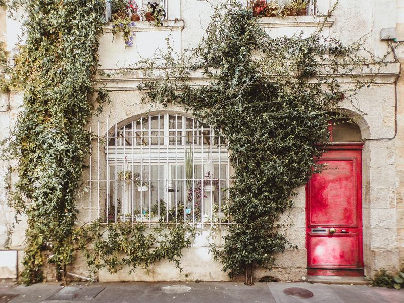 Red: Bold Statement Maker