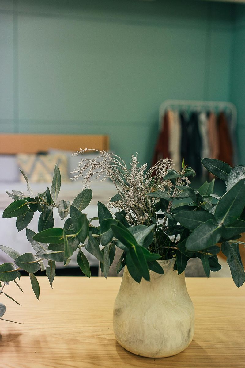 Earthy Green Sanctuary