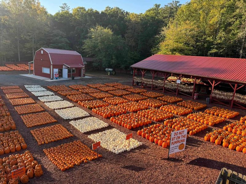 Historic Heartland Pumpkin Pilgrimage