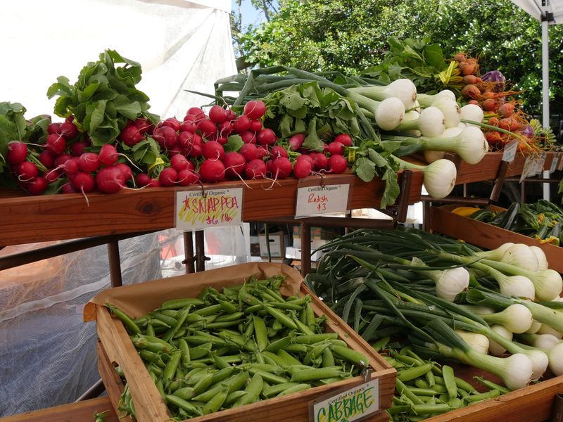 South Madison Farmers' Market - Labor Temple (Sunday)