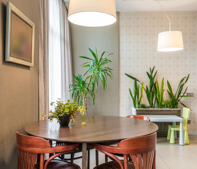 Wallpaper Borders Making Waves