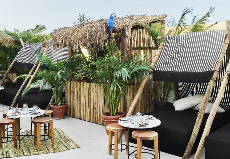 Urban Jungle Retreat